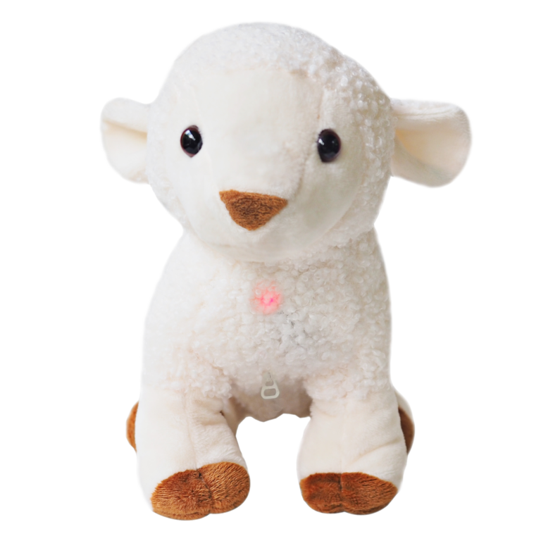 Kulumi Sheep